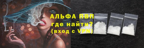 индика Заволжск