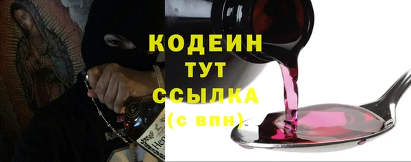 индика Заволжск