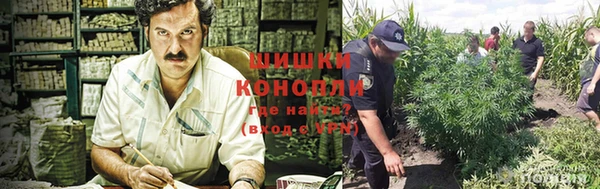индика Заволжск