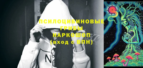 индика Заволжск