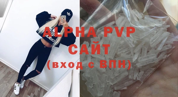 индика Заволжск