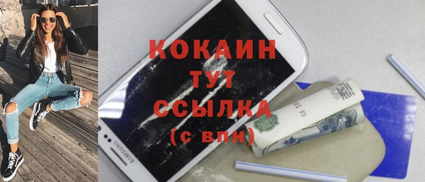 индика Заволжск