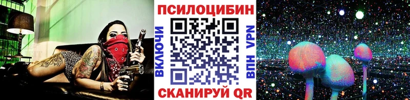 Псилоцибиновые грибы GOLDEN TEACHER  Камешково 